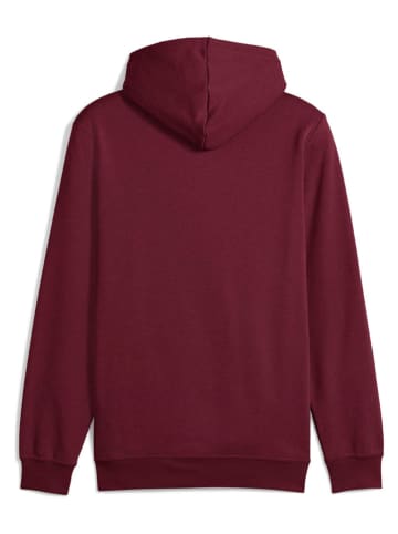 Puma Hoodie rood