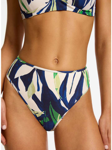 Jets Bikini-Hose in Dunkelblau/ Weiß