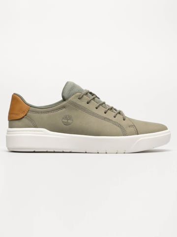 Timberland Leder-Sneakers in Khaki