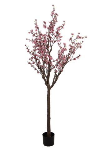 Clayre & Eef Dekobaum in Rosa/ Braun - (B)45 x (H)185 x (T)45 cm