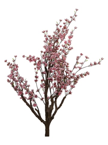 Clayre & Eef Dekobaum in Rosa/ Braun - (B)45 x (H)185 x (T)45 cm