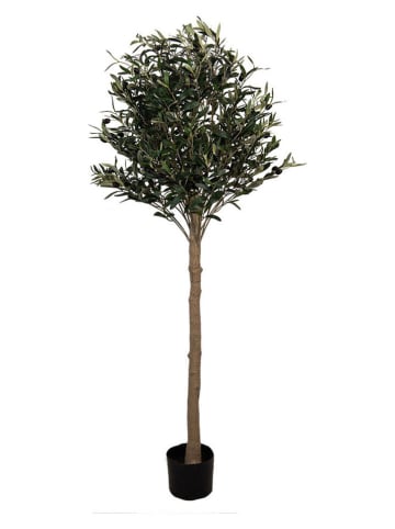 Clayre & Eef Decoboom groen/lichtbruin - (B)50 x (H)165 x (D)50 cm