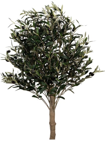Clayre & Eef Decoboom groen/lichtbruin - (B)50 x (H)165 x (D)50 cm
