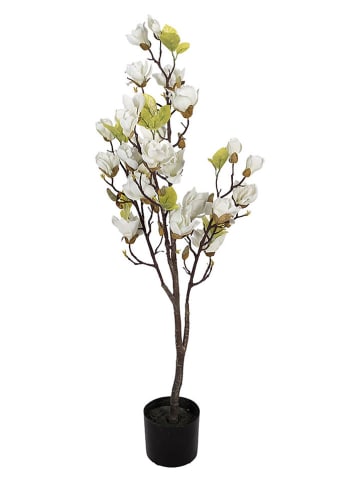 Clayre & Eef Decoboom wit/groen - (B)20 x (H)120 x (D)15 cm