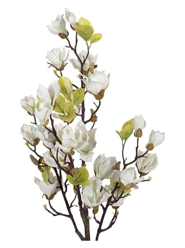 Clayre & Eef Dekobaum in Weiß/ Grün - (B)20 x (H)120 x (T)15 cm