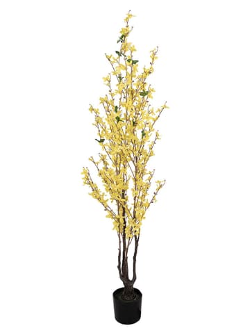 Clayre & Eef Kunstplant "Forsythie" geel - (B)20 x (H)125 x (D)20 cm