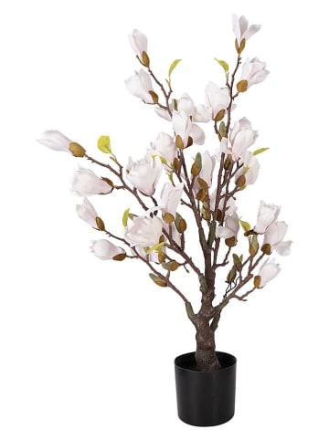 Clayre & Eef Drzewko dekoracyjne w kolorze biało-zielonym - 20 x 75 x 20 cm