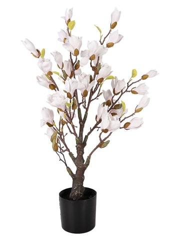 Clayre & Eef Decoboom wit/groen - (B)20 x (H)75 x (D)20 cm