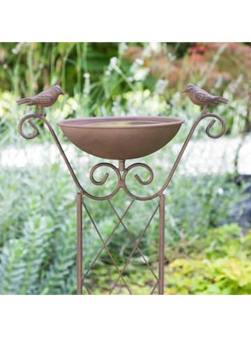 Garden Hero Vogelbad antiekbruin - (B)30 x (H)82 x (D)19 cm
