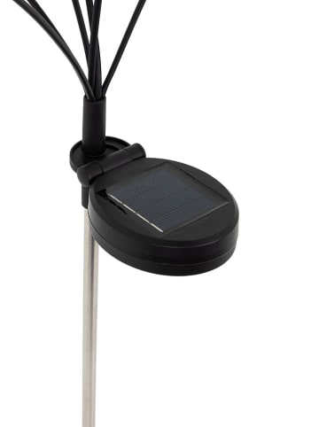 Garden Hero 2er-Set: LED-Solar-Gartenstecker in Schwarz - (L)67 cm