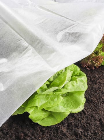 Garden Hero Osłonka w kolorze białym na rośliny - 500 x 150 cm