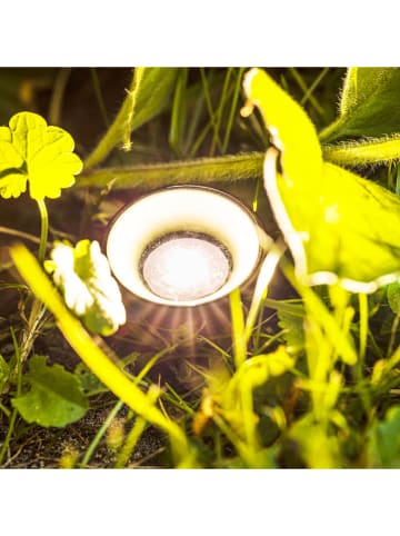 Garden Hero LED-Solar-Pflanzenstrahler in Schwarz