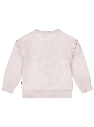 Dirkje Sweatshirt grijs