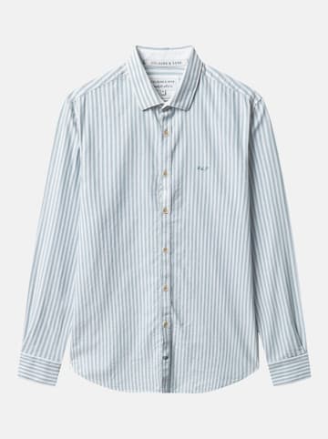 COLOURS & SONS Hemd in Hellblau/ Weiß