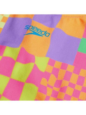 Speedo Badeanzug "Eco+ Dig Placem" in Bunt
