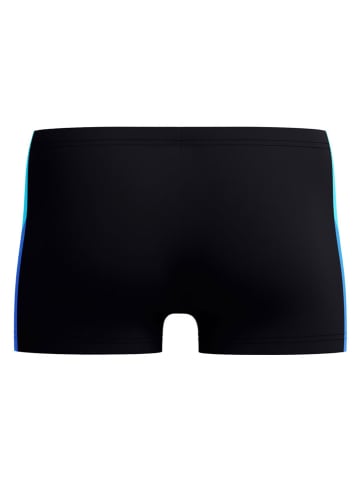 Speedo Zwembroek "Eco Dive" zwart/blauw