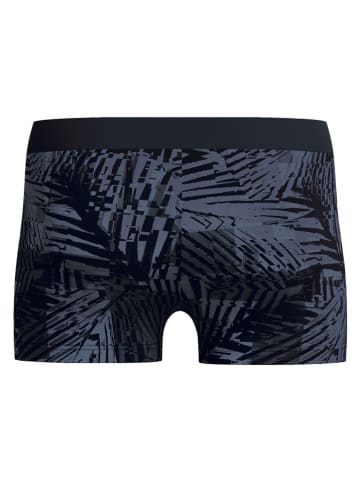 Speedo Zwembroek "Valmilton" zwart/grijs