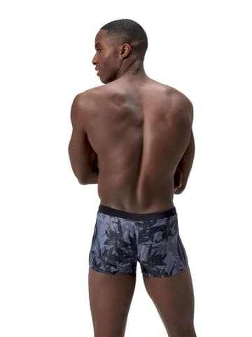 Speedo Badeshorts "Vamilton" in Grau