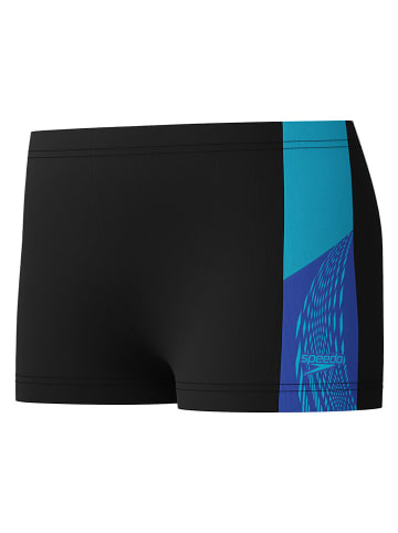 Speedo Badeshorts "Dive" in Schwarz/ Blau