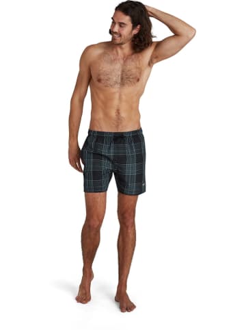 Speedo Zwemshorts zwart/lichtblauw