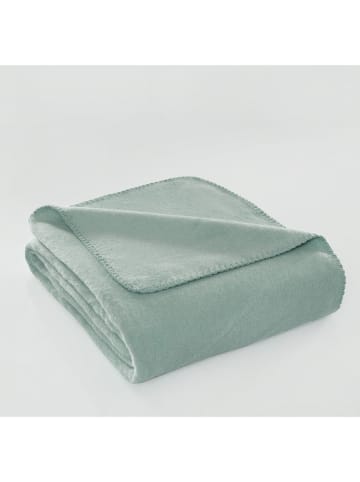 Mijolnir Plaid ''Brighton'' in Mint