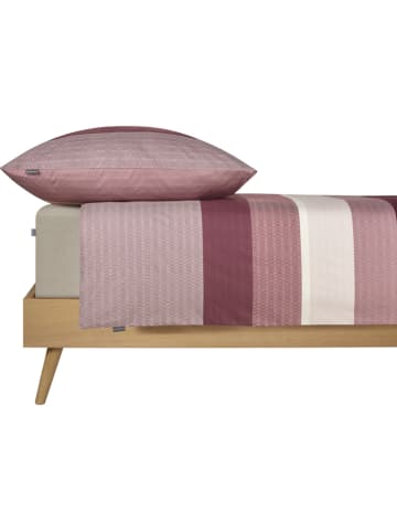 Schiesser Renforcé-Bettwäsche-Set "Endy" in Lila/ Weiß