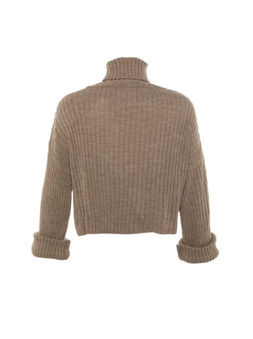 trendyol Rollkragenpullover in Taupe