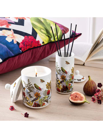 CXL by Christian Lacroix Świeca zapachowa "Jardin D'hiver - Figuier" - 315 g