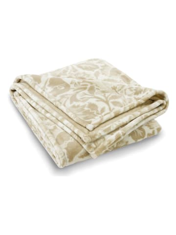 CXL by Christian Lacroix Plaid beige/wit