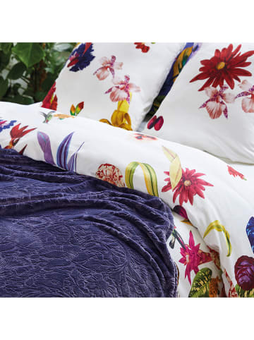 CXL by Christian Lacroix Plaid donkerblauw