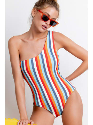 admas Badeanzug in Bunt