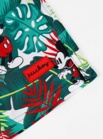 admas Badeshorts in Grün