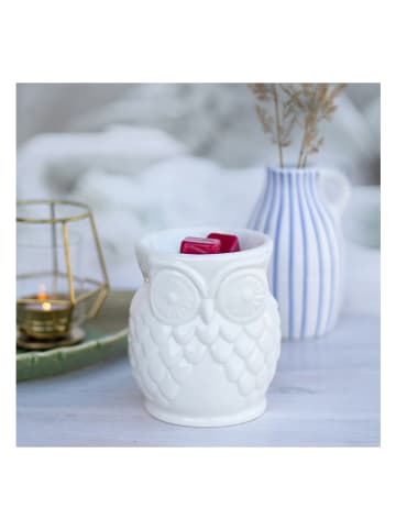 Candle Brothers Duftlampe "Owl" in Weiß