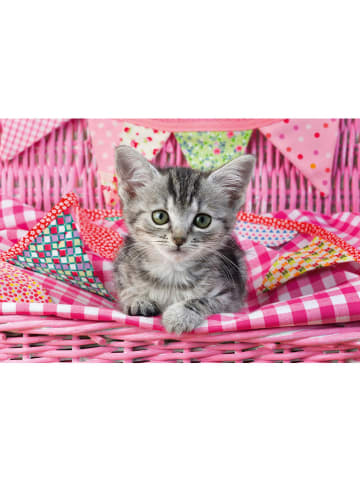 Schmidt Spiele 3x 48tlg. Puzzle "Meine liebsten Haustierbabys" - ab 4 Jahren