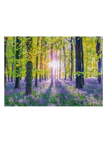 Schmidt Spiele 1.000tlg. Puzzle "Zarte Glockenblumen im Wald" - ab 12 Jahren