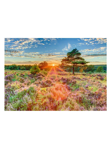 Schmidt Spiele 1.000tlg. Puzzle "Heide im Sonnenuntergang" - ab 12 Jahren
