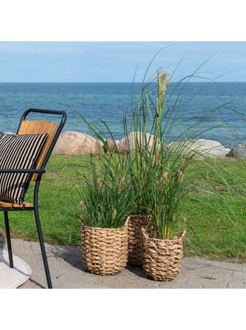 House Nordic Kosze (3 szt.) "Hue" w kolorze jasnobrązowym