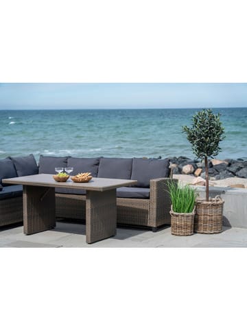 House Nordic 2er-Set: Blumentöpfe in Braun