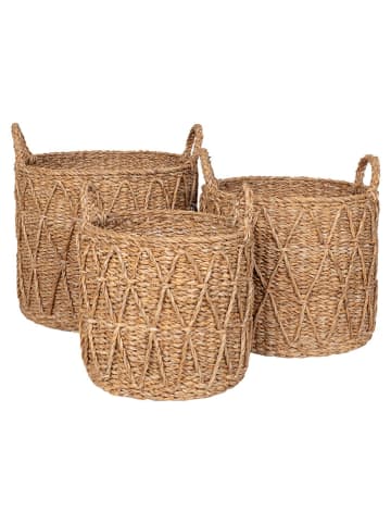 House Nordic Kosze (3 szt.) "Krabi" w kolorze jasnobrązowym