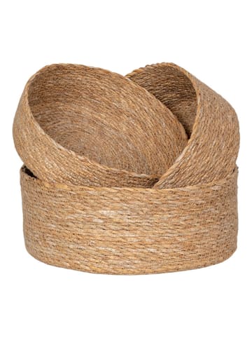 House Nordic Kosze (3 szt.) "Batam" w kolorze jasnobrązowym