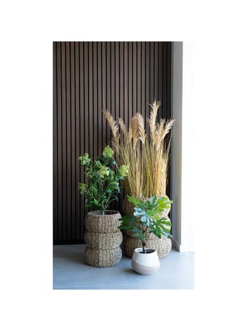 House Nordic Kunstplant "Fig Tree" groen - (H)50 cm