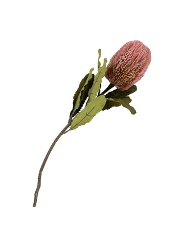 House Nordic Kunstbloemen lichtroze - (H)74 cm