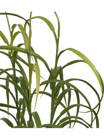 House Nordic Kunstpflanze in Grün - (H)68 cm