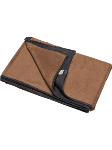 David Fussenegger Pled "Velvet" w kolorze jasnobrązowo-szarym