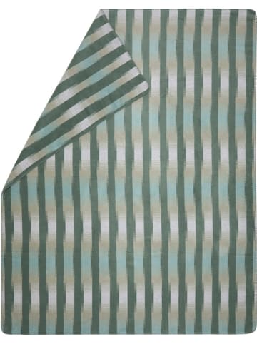 David Fussenegger Koc w kolorze zielonym