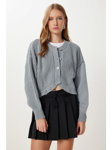 Happiness Istanbul Cardigan in Grau