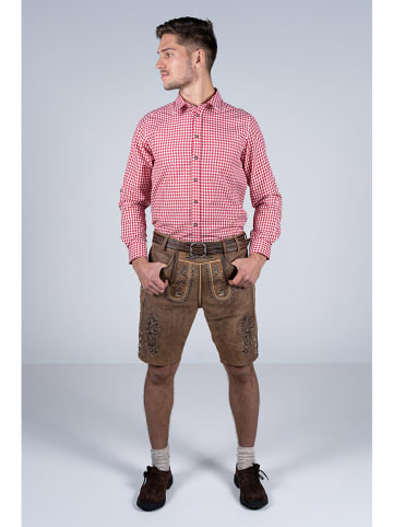 Edelnice Lederhose "Thomas" in Braun