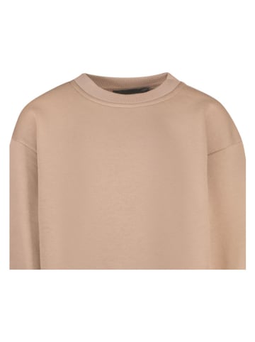 Cars Jeans Sweatshirt "Eamon" in Taupe