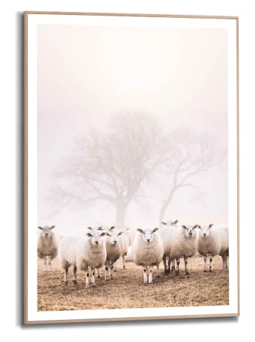 Orangewallz Gerahmter Kunstdruck "Linda's Sheep"