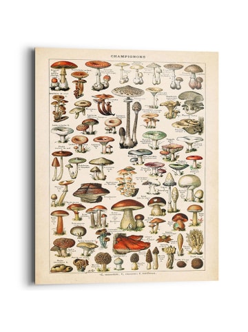 Orangewallz Druk artystyczny "Mushrooms"